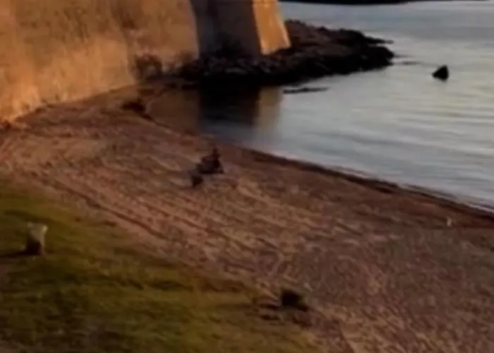 La Casa Di Anna 加利波利